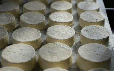 Les avantages de savourer un dessert au fromage blanc