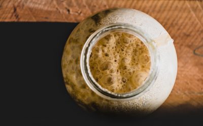 La levure de boulanger et ses différentes formes