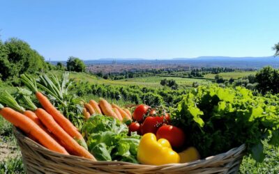 Les avantages de commander un panier de legumes a Lyon grace aux producteurs locaux